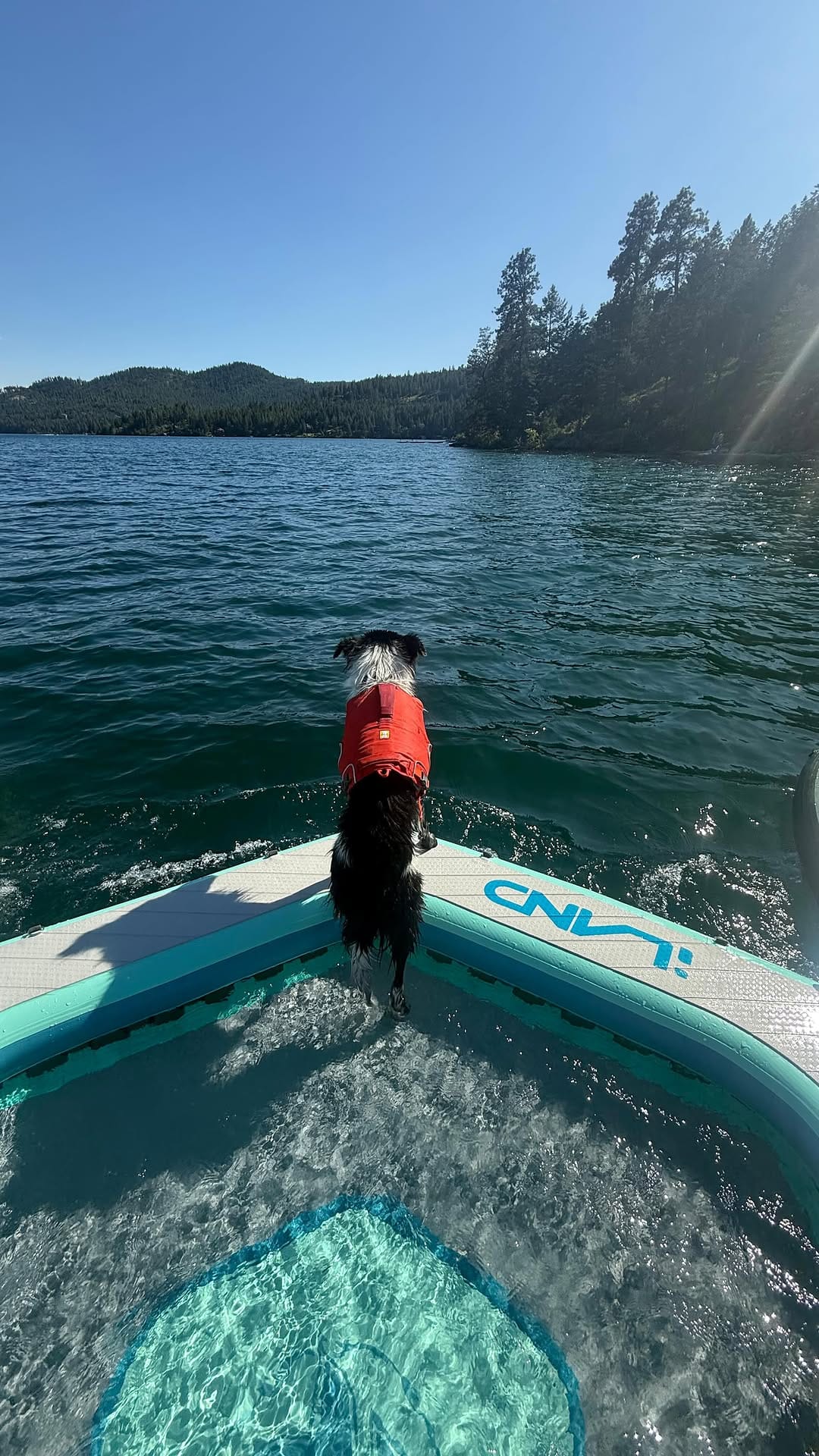 Post 9 by Shaye Nelissen | Content Creator 🏔️ Carl | SUP PUP on Instagram (video)