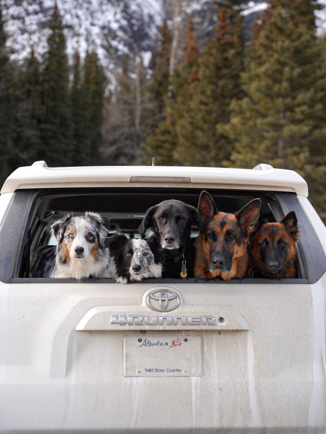 Post 3 by Shaye Nelissen | Content Creator 🏔️ Carl | SUP PUP on Instagram (carousel)