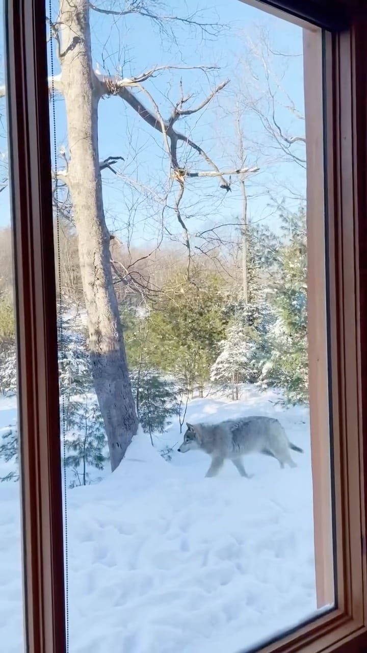 Post 6 by David Mamàn on Instagram (video)