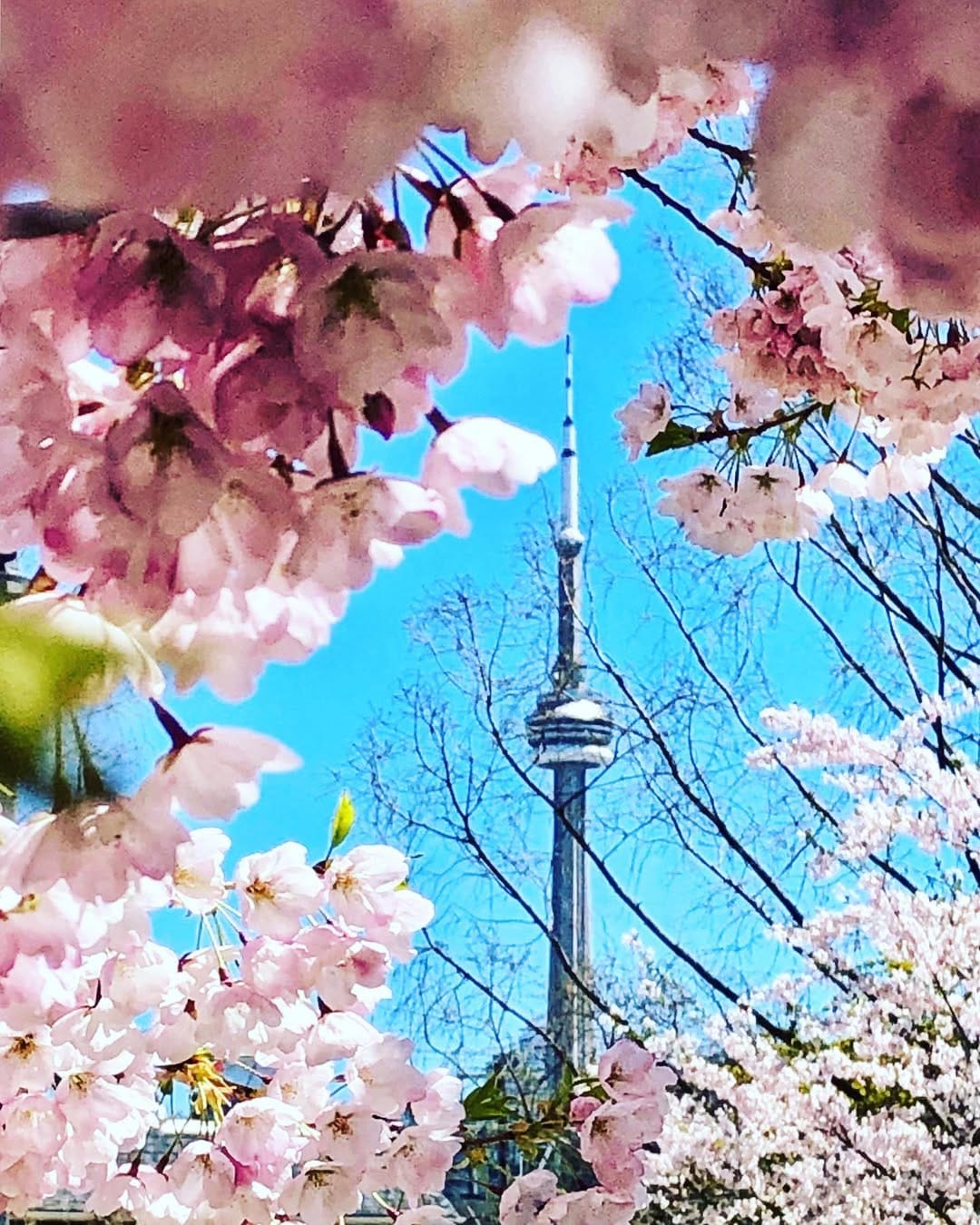 Post 2 by Explore to the Extreme 💫 on Instagram (image)
