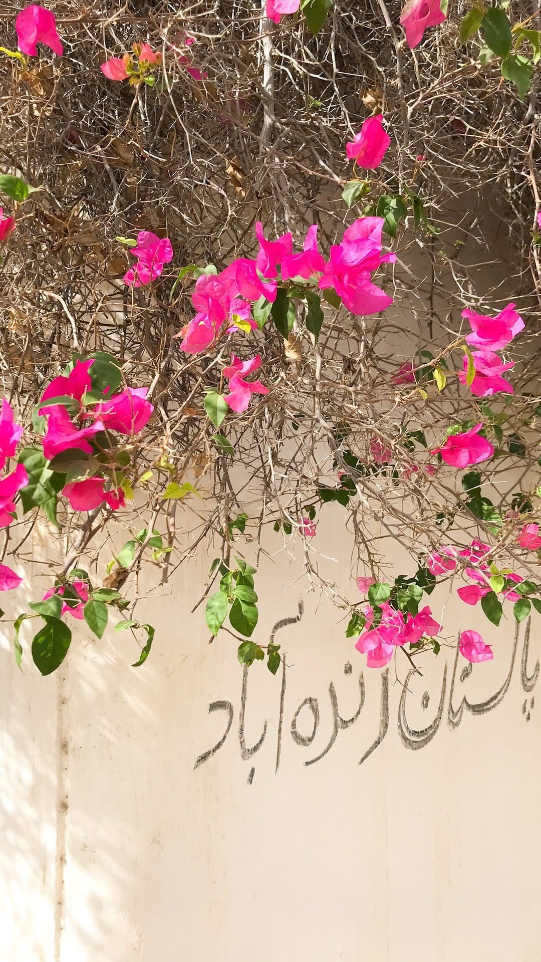 Post 8 by Bilal Hassan | بلال حسن on Instagram (video)