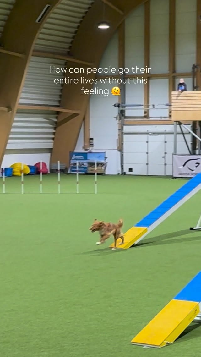 Post 1 by Kes and her daughters on Instagram (video)