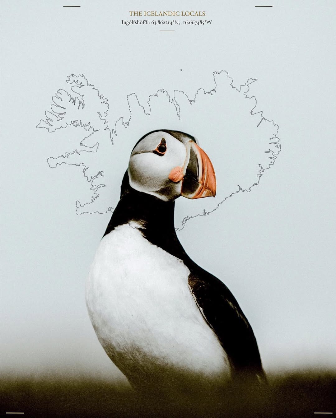 Post 2 by Diogo Dias | PNW & Beyond on Instagram (image)