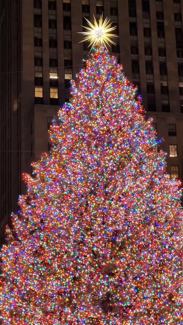 Post 6 by Sasan K on Instagram (video)