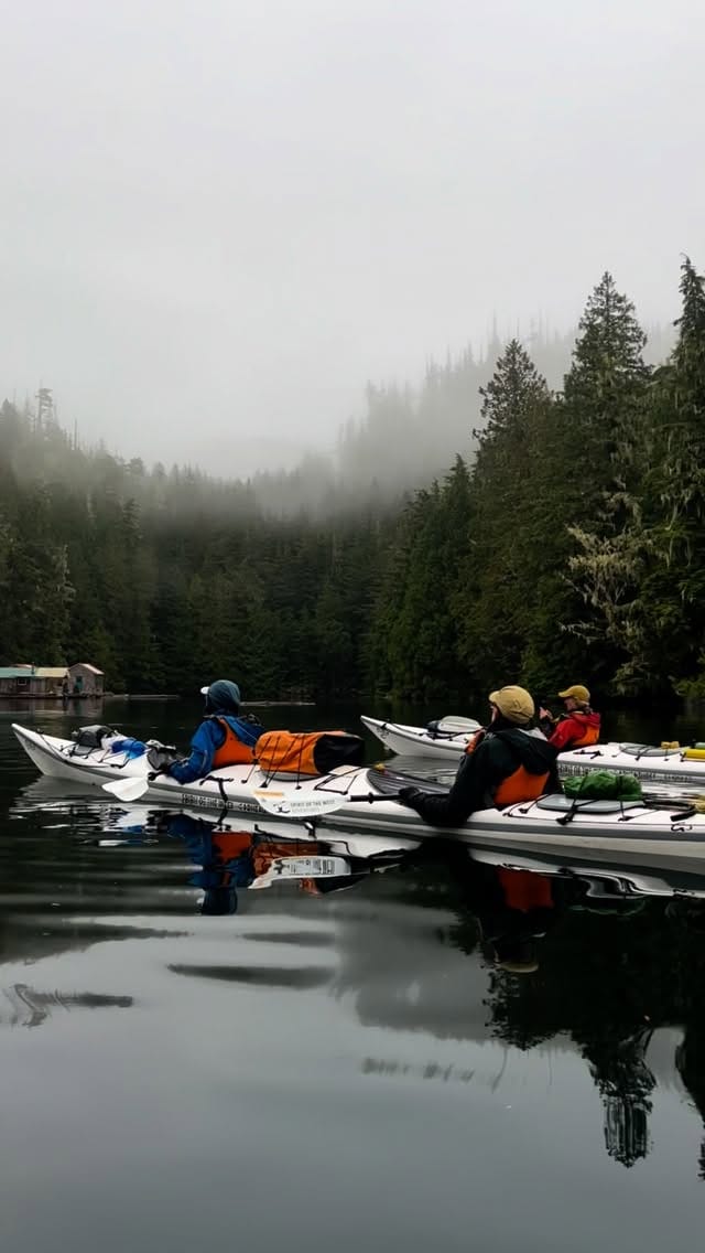 Post 3 by Kim Gray on Instagram (video)