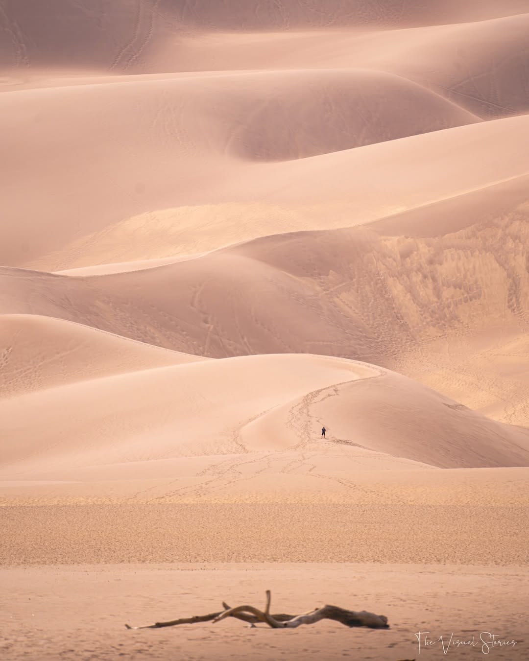 Post 6 by Visual Storyteller on Instagram (image)