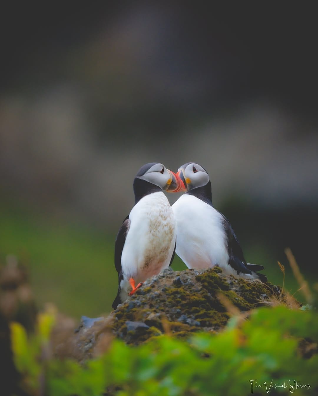 Post 2 by Visual Storyteller on Instagram (image)