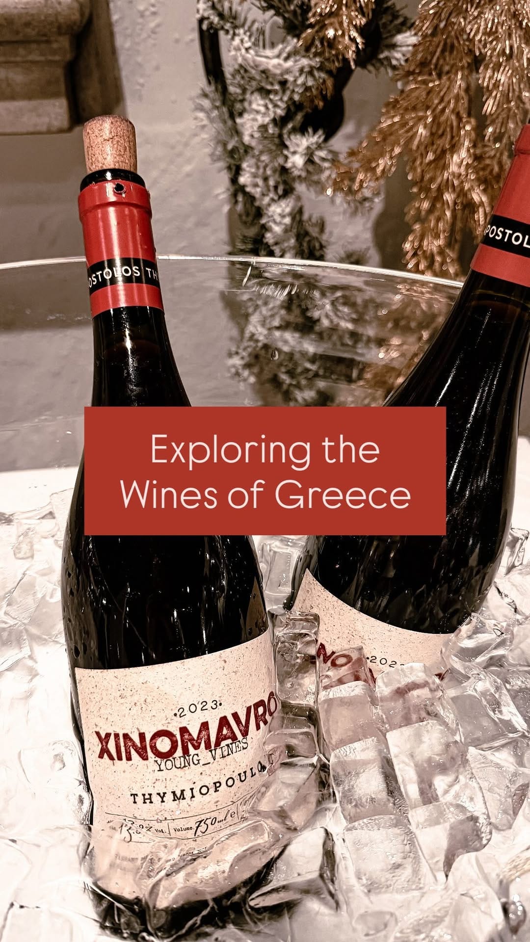 Post 7 by Anita | Wine, Food & Travel on Instagram (video)