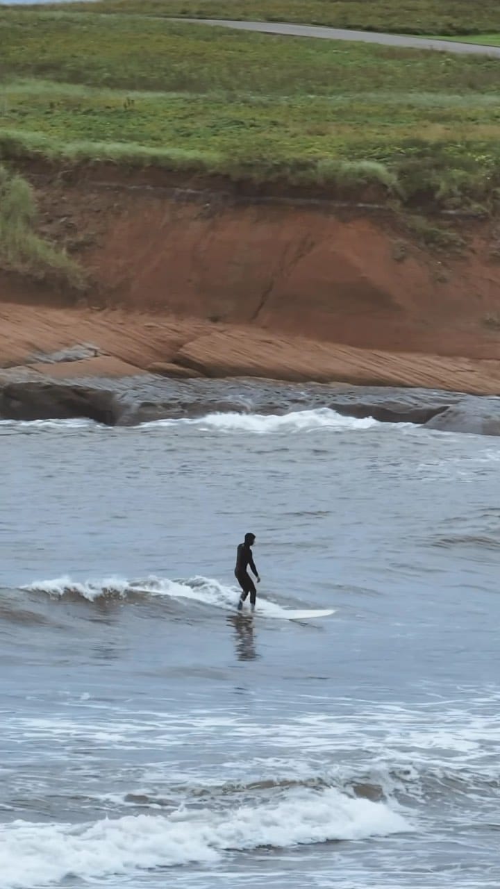 Post 9 by D O M F A U C H E R ▪️ on Instagram (video)