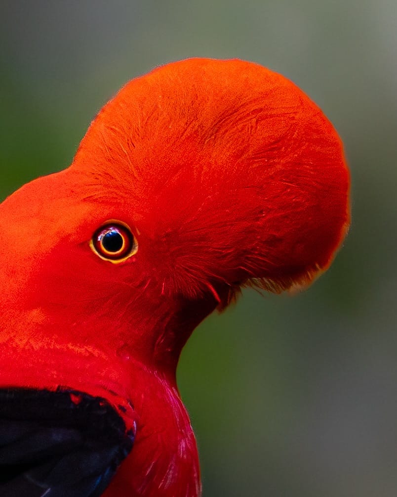 Post 2 by TRAVEL | OVERLANDING | VANLIFE | PHOTOGRAPHY on Instagram (carousel)