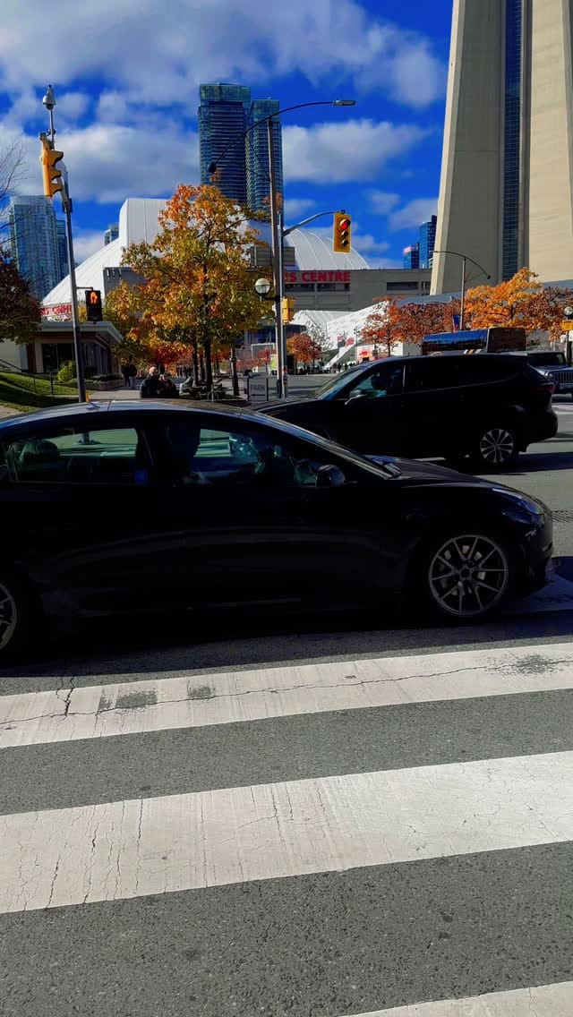 Post 8 by Rehan Mirza on Instagram (video)