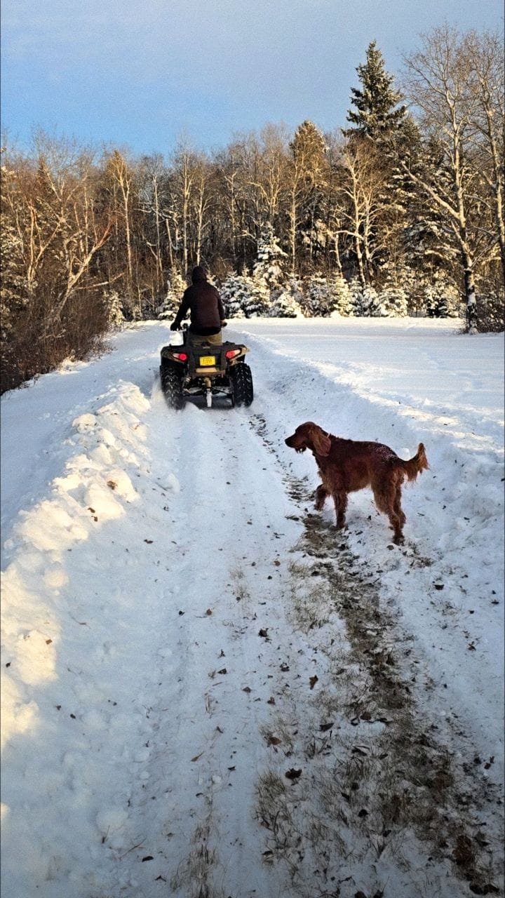 Post 5 by Melissa Lindsay on Instagram (video)