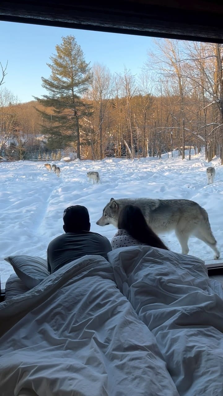 Post 6 by Carolin + Ravi on Instagram (video)