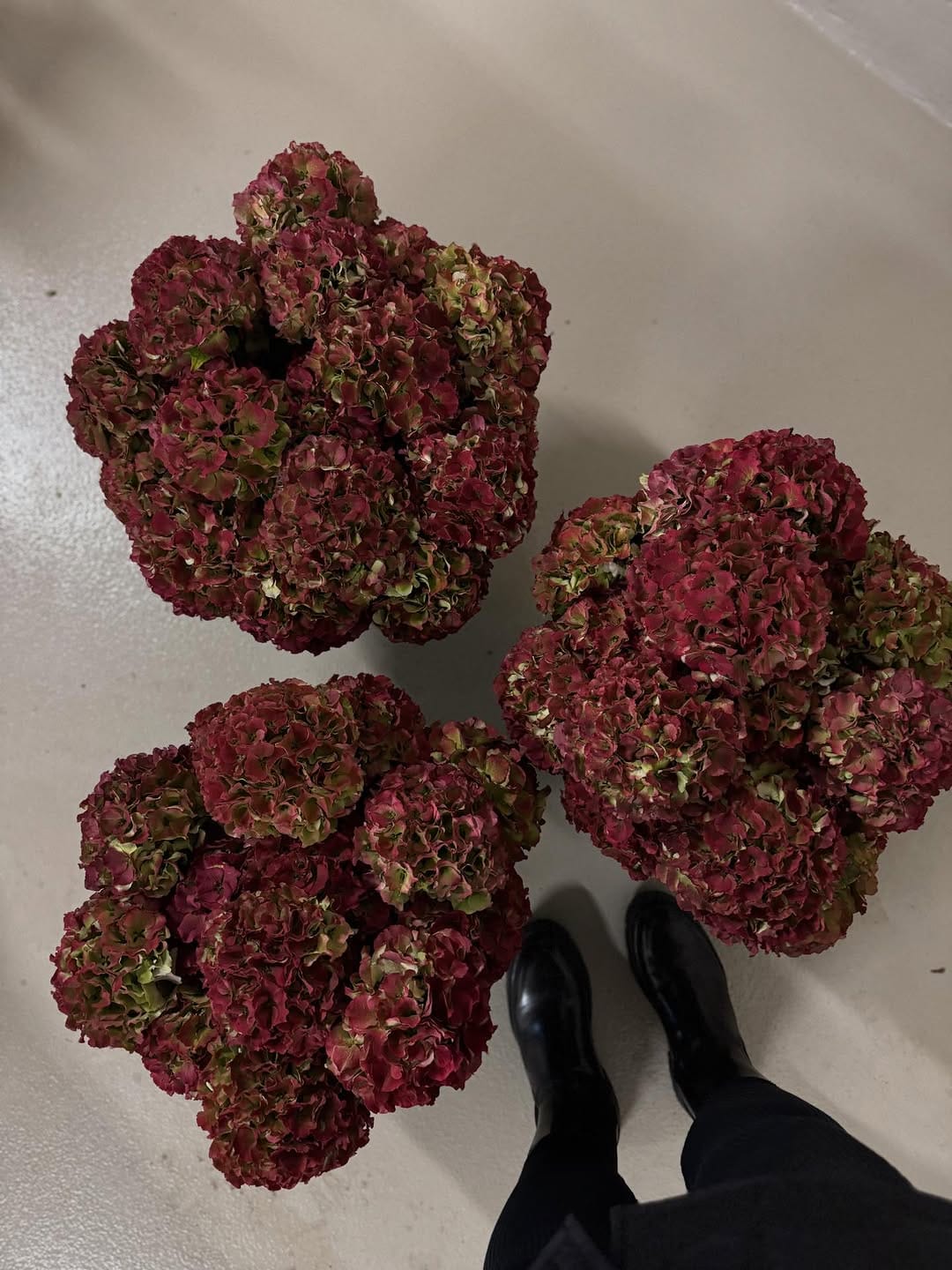 Post 3 by joanne  //  toronto florist on Instagram (carousel)