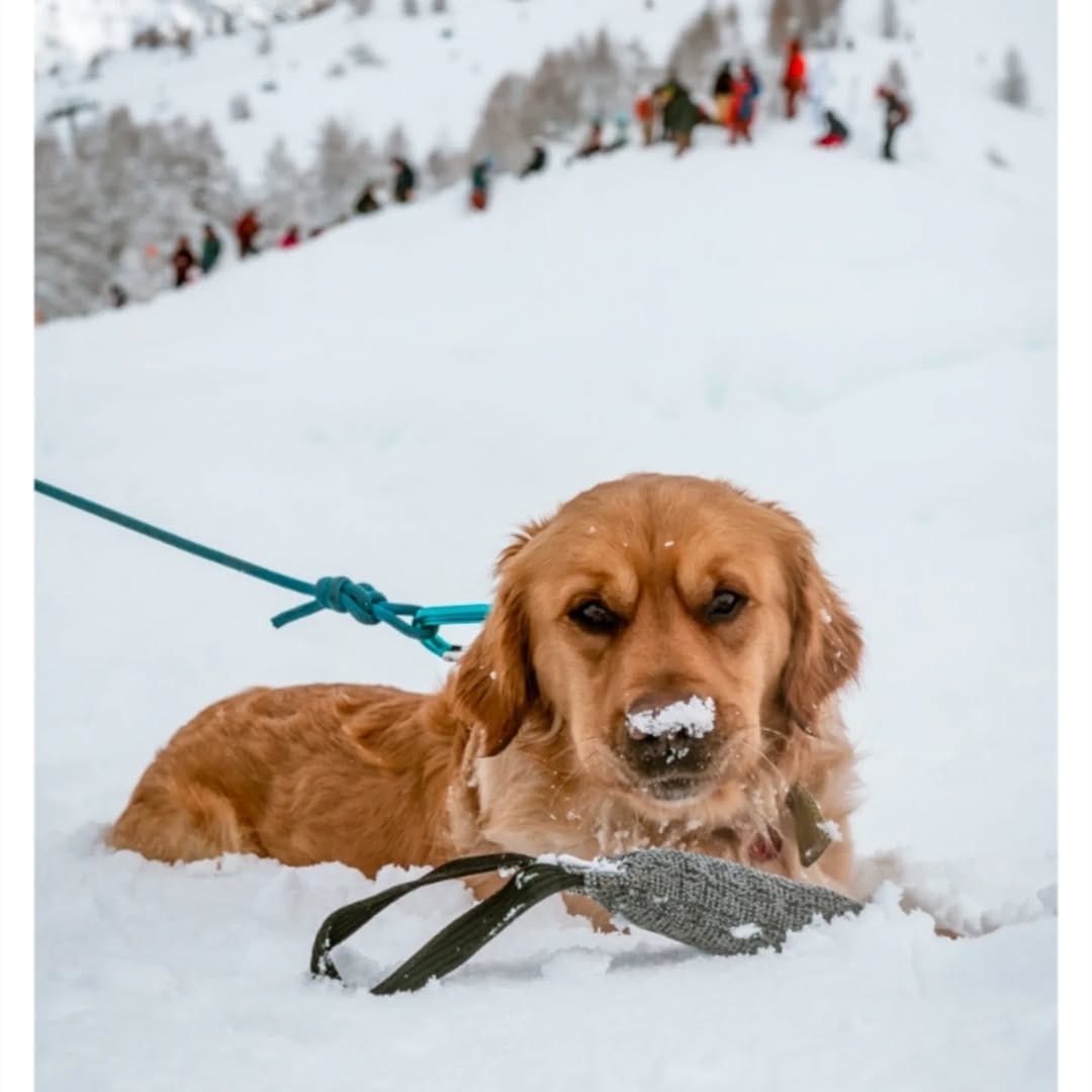 Post 7 by Ski Canada Magazine on Instagram (image)