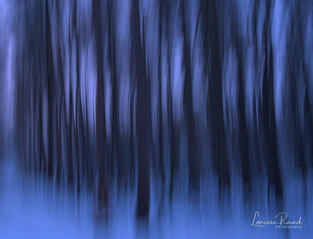 Post 3 by Larissa Rand on Instagram (image)