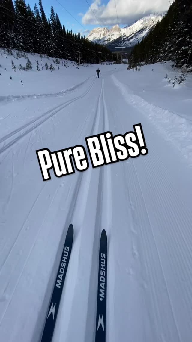 Post 9 by Tanya Koob on Instagram (video)