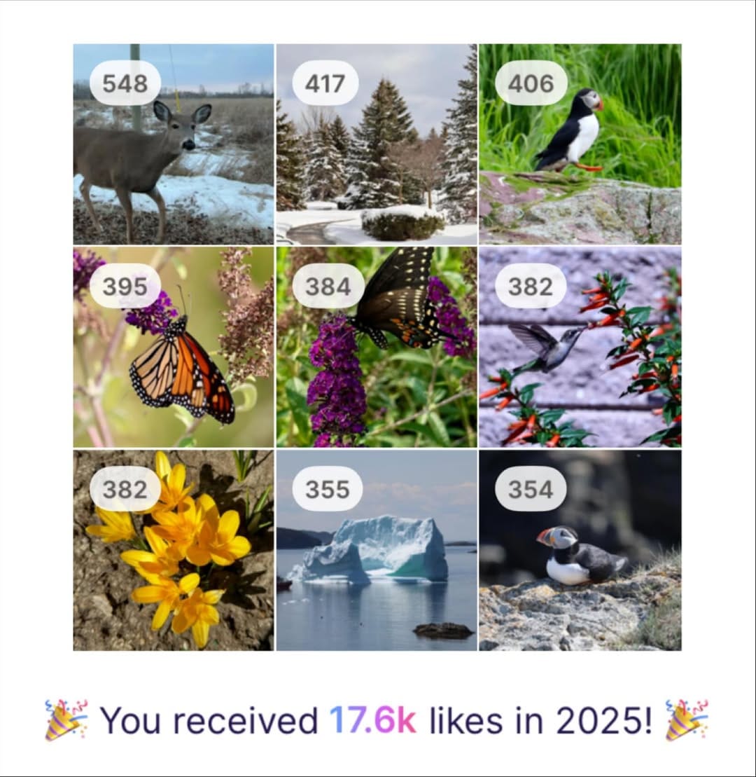 Post 3 by Ann Kuznak on Instagram (image)