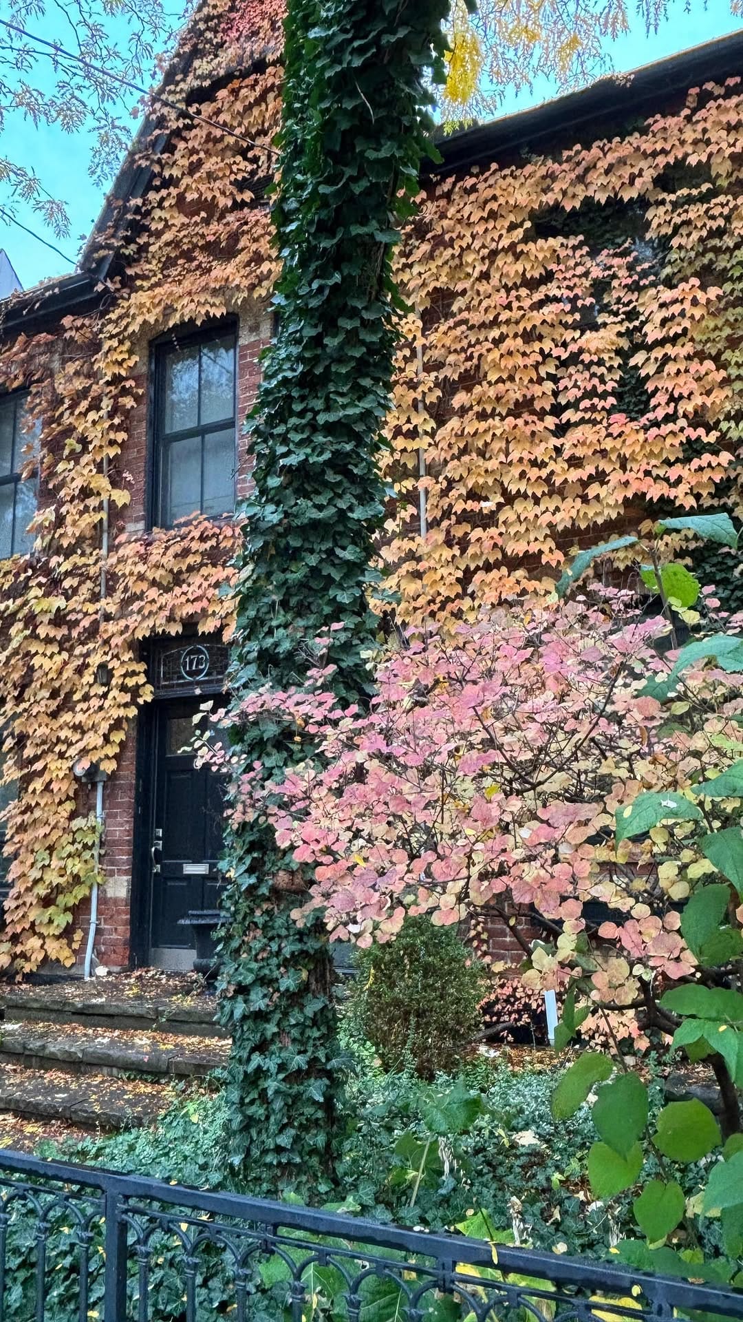 Post 8 by Kathryn Eves-Maharaj on Instagram (video)
