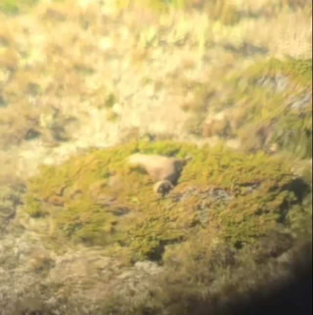 Post 2 by Jamie Arnett on Instagram (video)