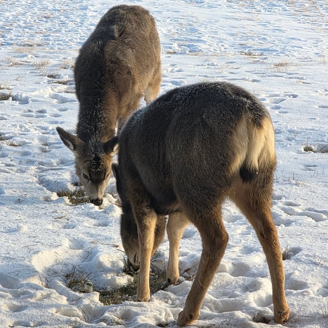 Post 8 by Jamie Arnett on Instagram (image)