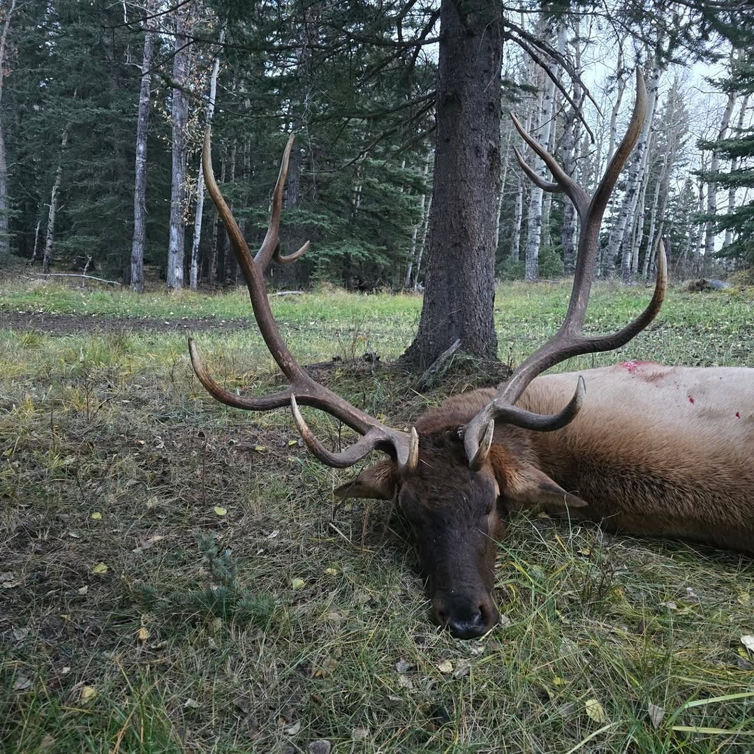 Post 7 by Jamie Arnett on Instagram (image)