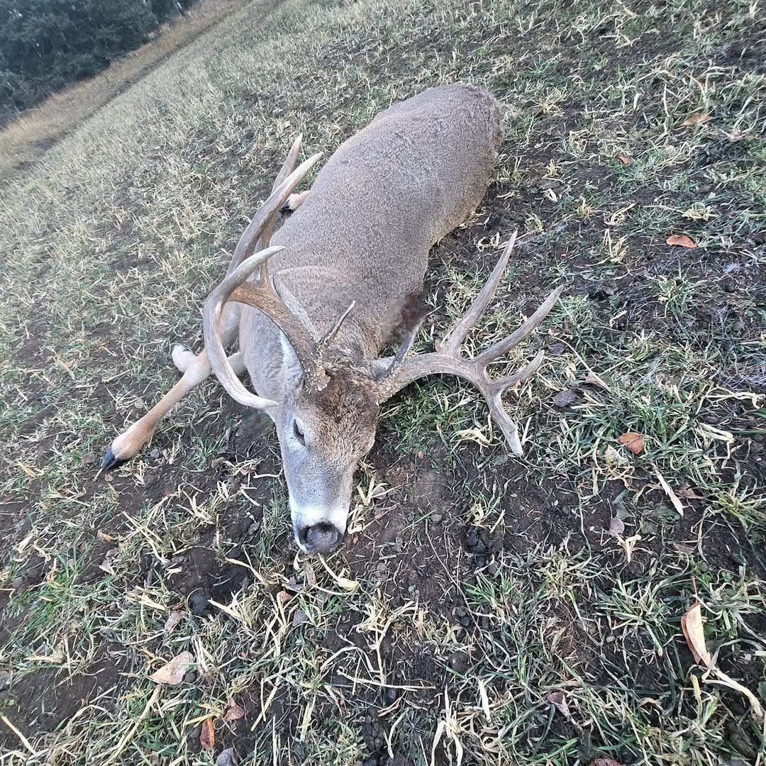 Post 9 by Jamie Arnett on Instagram (image)