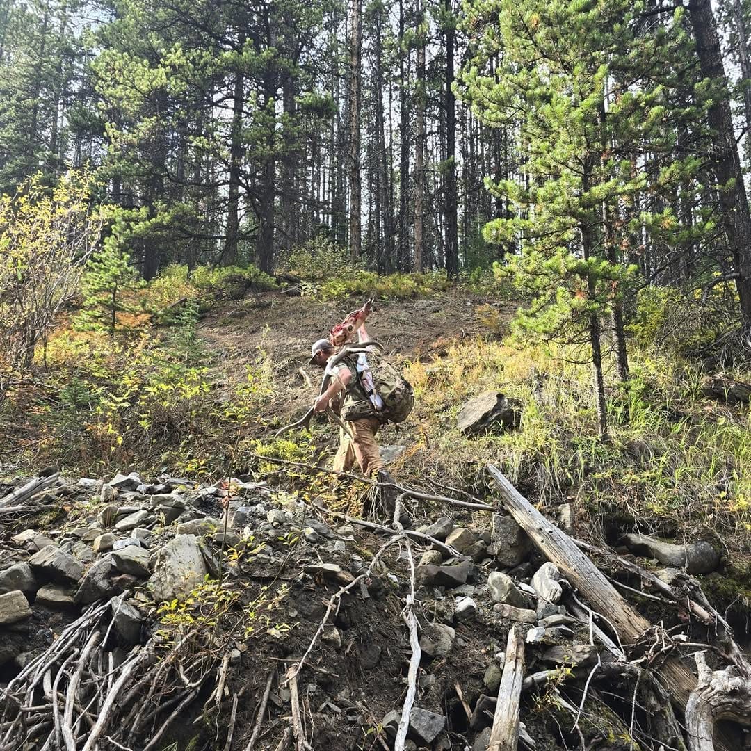 Post 3 by Jamie Arnett on Instagram (image)