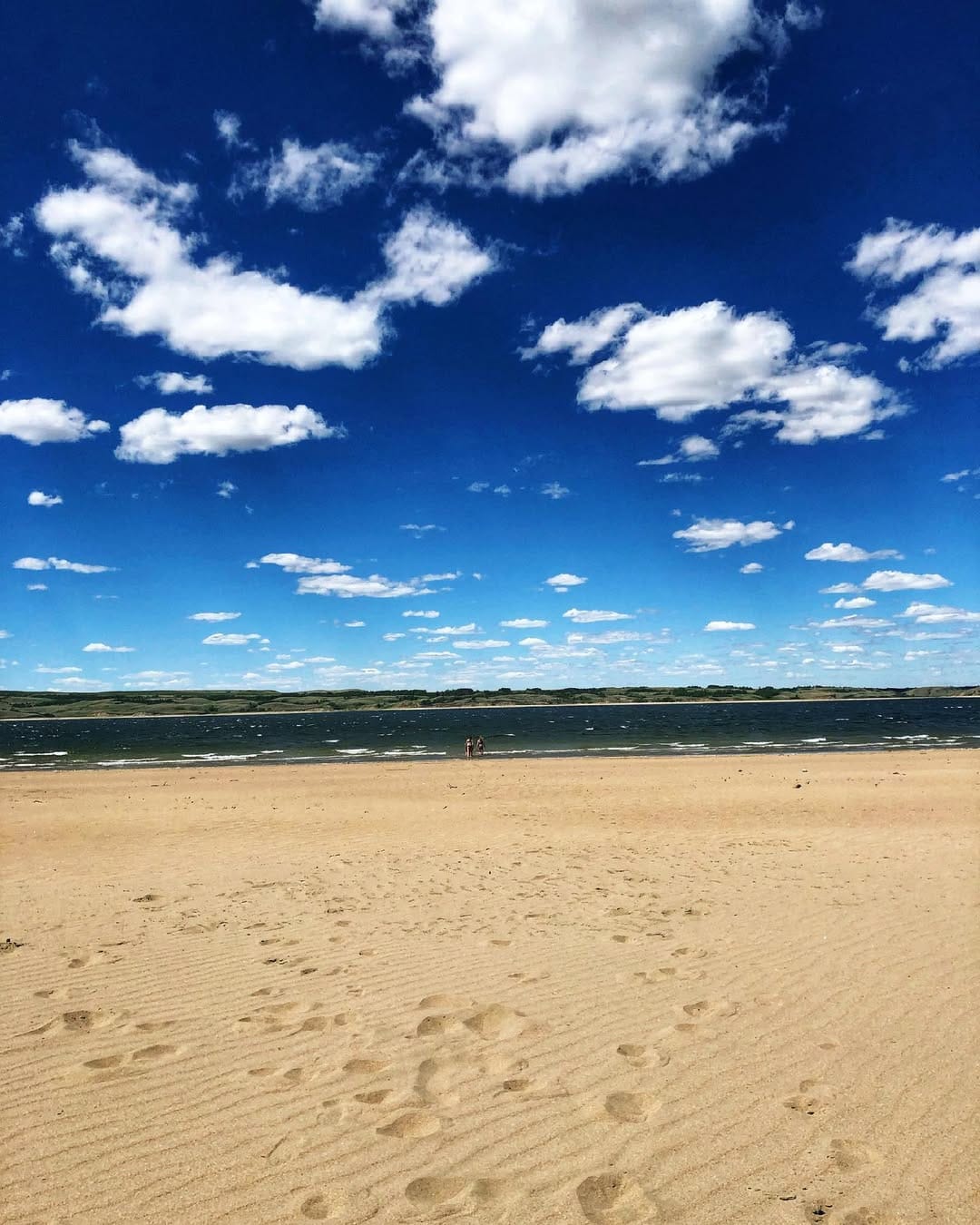 Post 8 by Stacey Martin on Instagram (image)