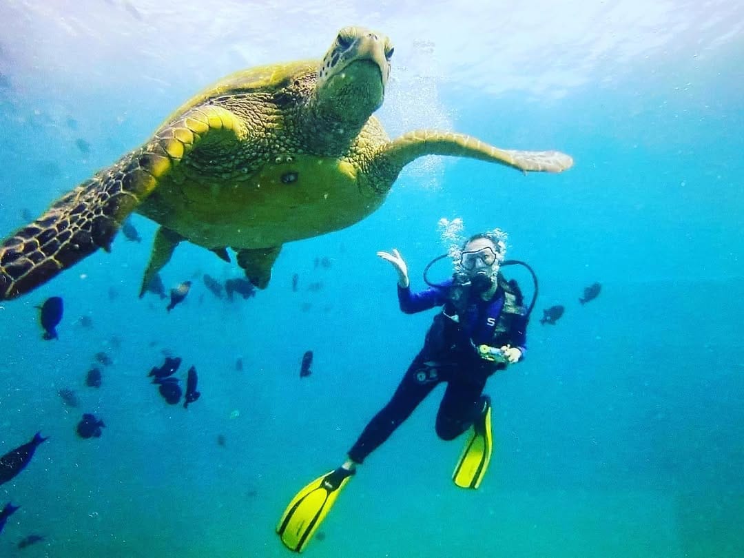 Post 8 by Jennifer • ✈️Travel  & Outdoors on Instagram (image)