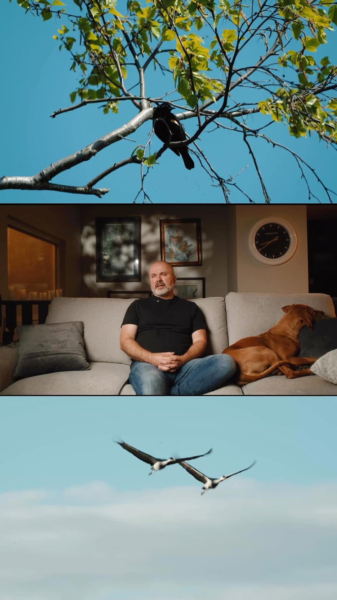 Post 9 by Anna & Andy 🌿 Exploring Beautiful Places on Instagram (video)