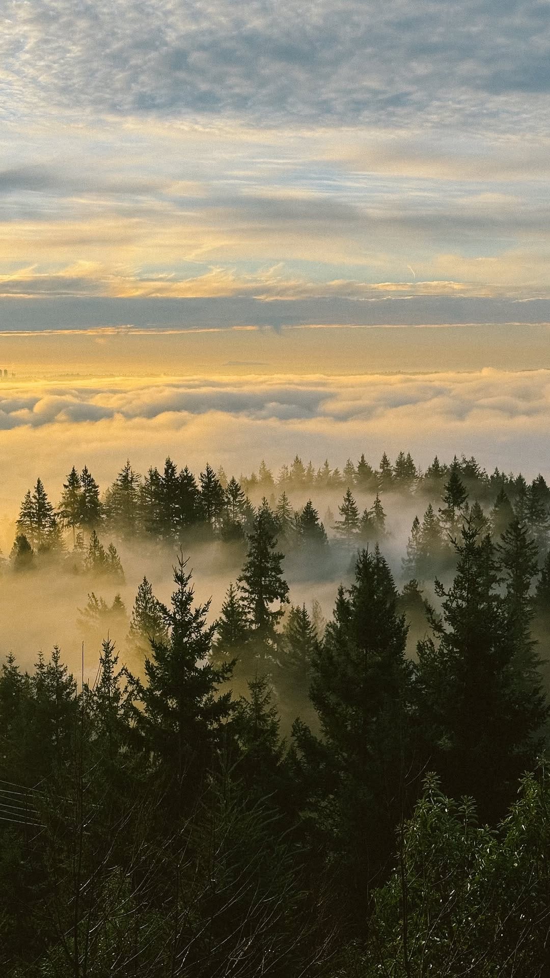 Post 3 by Anna & Andy 🌿 Exploring Beautiful Places on Instagram (video)