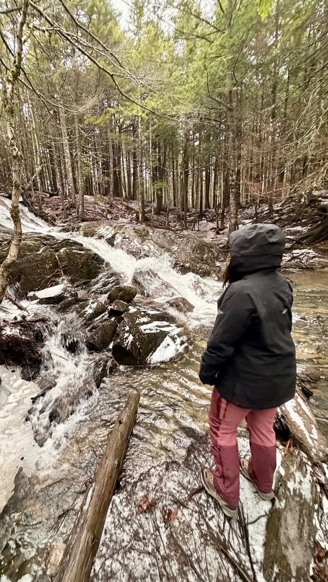 Post 4 by Jen Meza • Halifax Content Creator 🇨🇦 on Instagram (video)