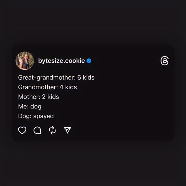 Post 5 by Cookie The Miniature Australian Shepherd | Toronto on Instagram (video)