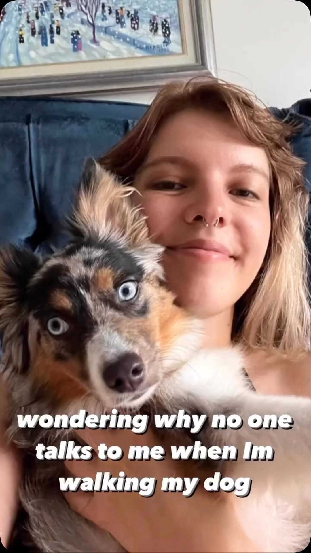 Post 8 by Cookie The Miniature Australian Shepherd | Toronto on Instagram (video)