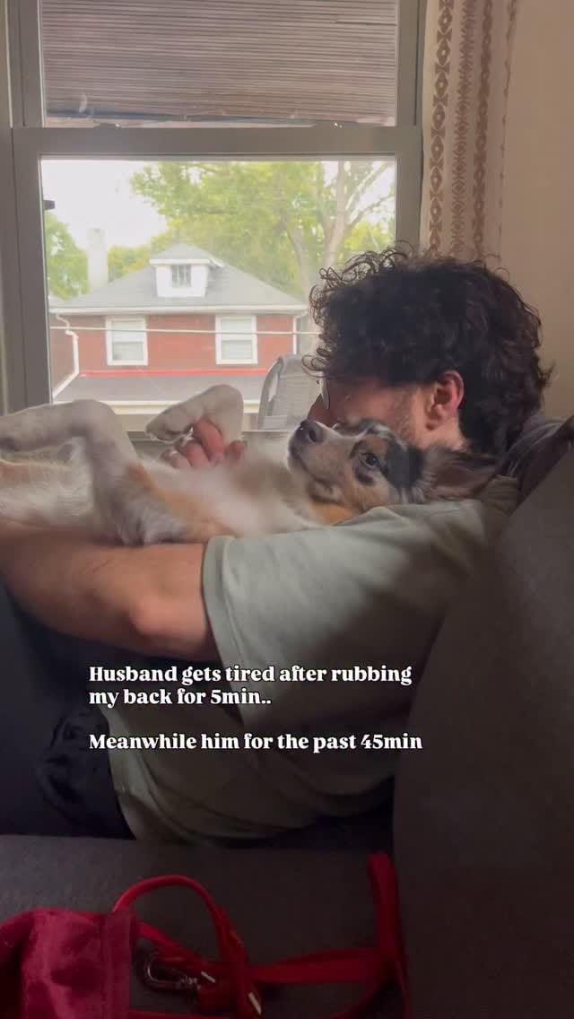 Post 4 by Cookie The Miniature Australian Shepherd | Toronto on Instagram (video)