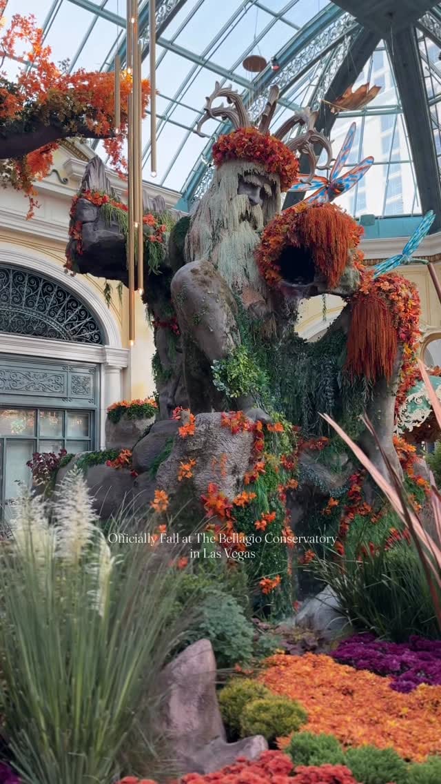 Post 3 by Nay | Ottawa Traveller • Motherhood • Health🇨🇦 on Instagram (video)