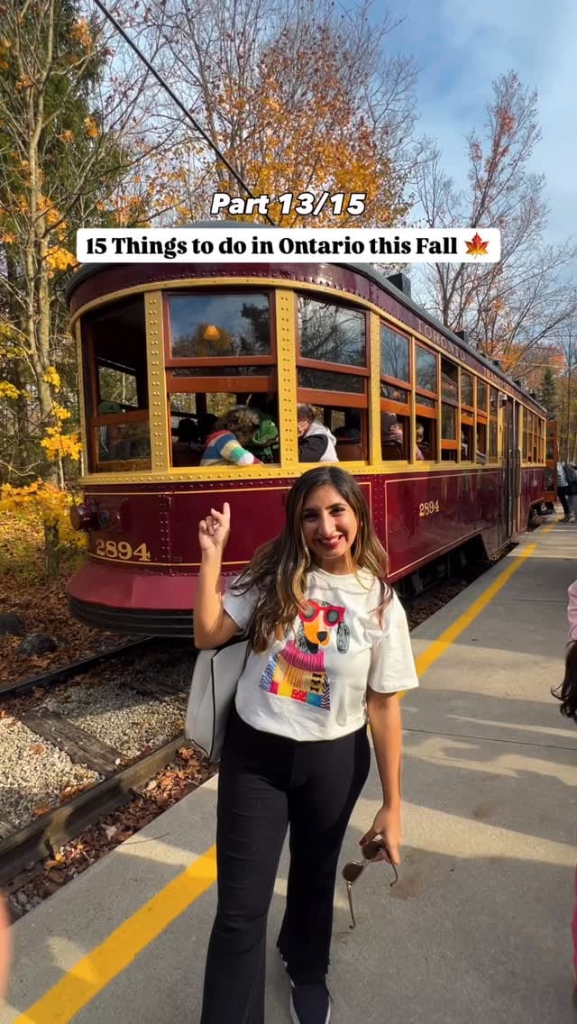 Post 9 by Deepshikha | Local Finds & Travel✨ | Content Creator & UGC 🇨🇦 on Instagram (video)