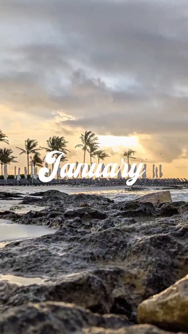 Post 4 by Davindra R. - Food and Travel Content Creator | Mississauga, ON on Instagram (video)
