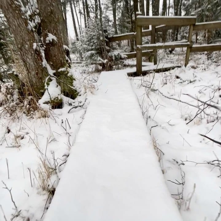 Post 4 by Cannelle the Corgi on Instagram (video)