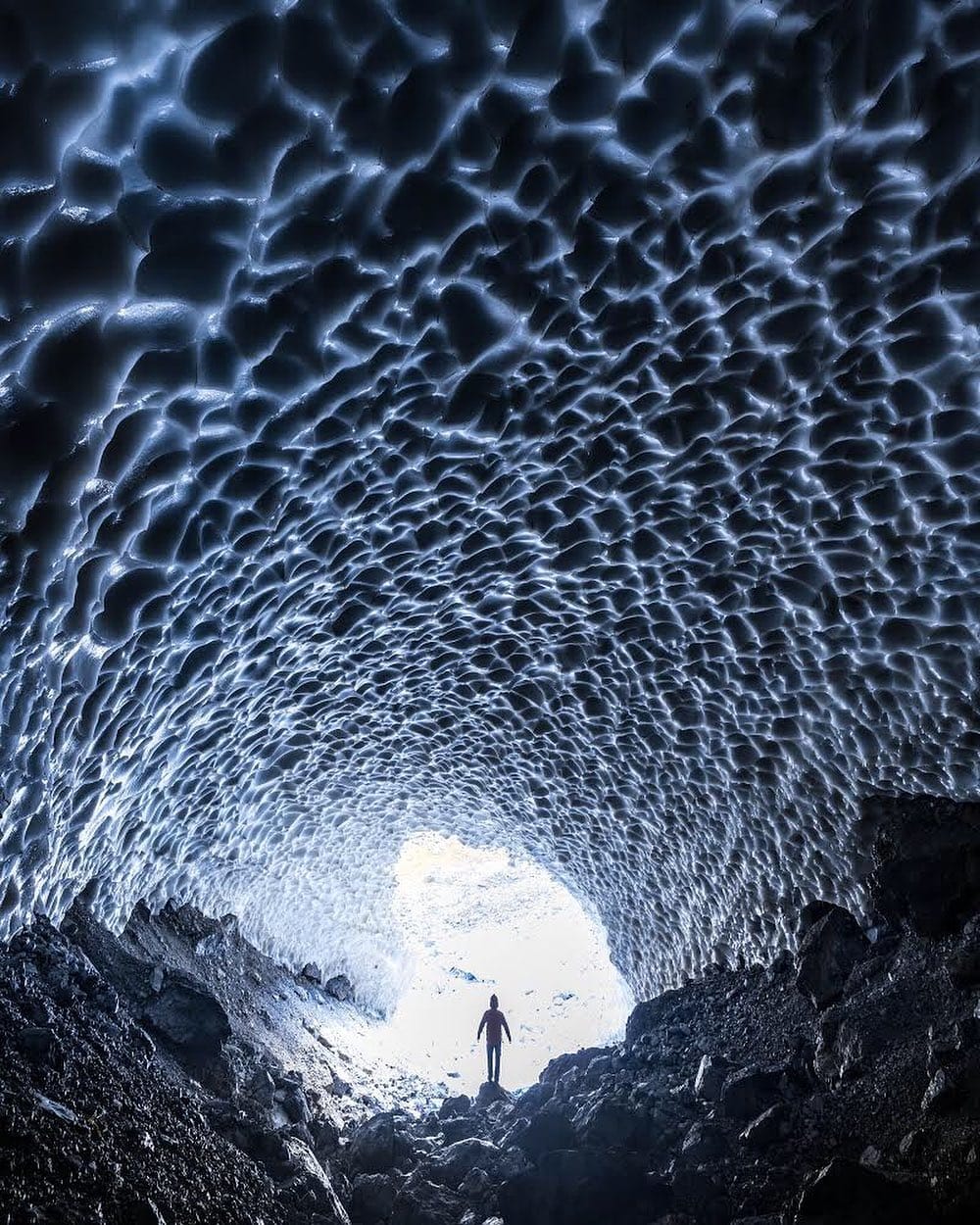 Post 8 by Terry Zhang on Instagram (image)