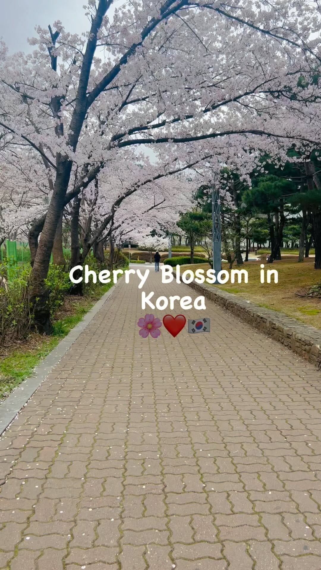 Post 10 by Zakir 🇵🇰🇰🇷🇻🇳🇯🇵🇹🇭🇨🇦 on Instagram (video)