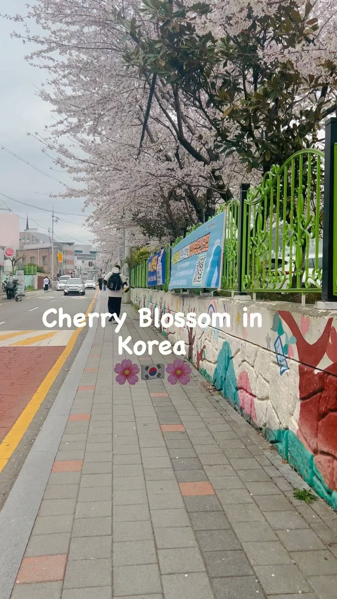 Post 9 by Zakir 🇵🇰🇰🇷🇻🇳🇯🇵🇹🇭🇨🇦 on Instagram (video)