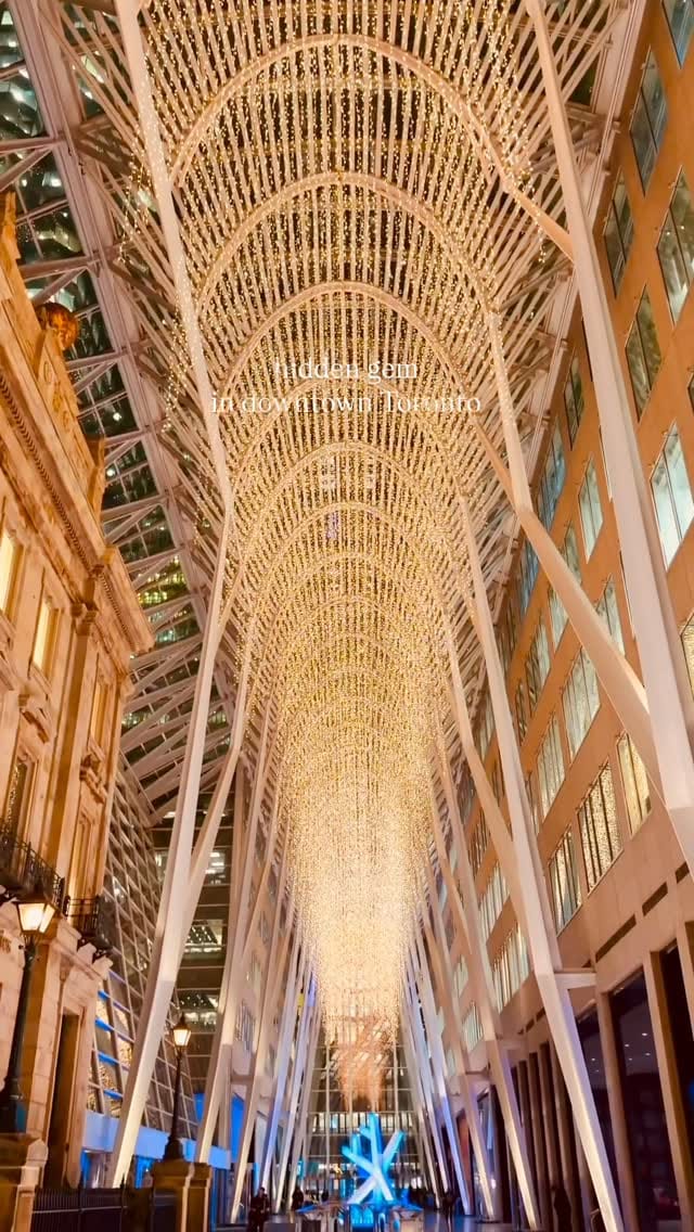 Post 1 by Dena Mir on Instagram (video)