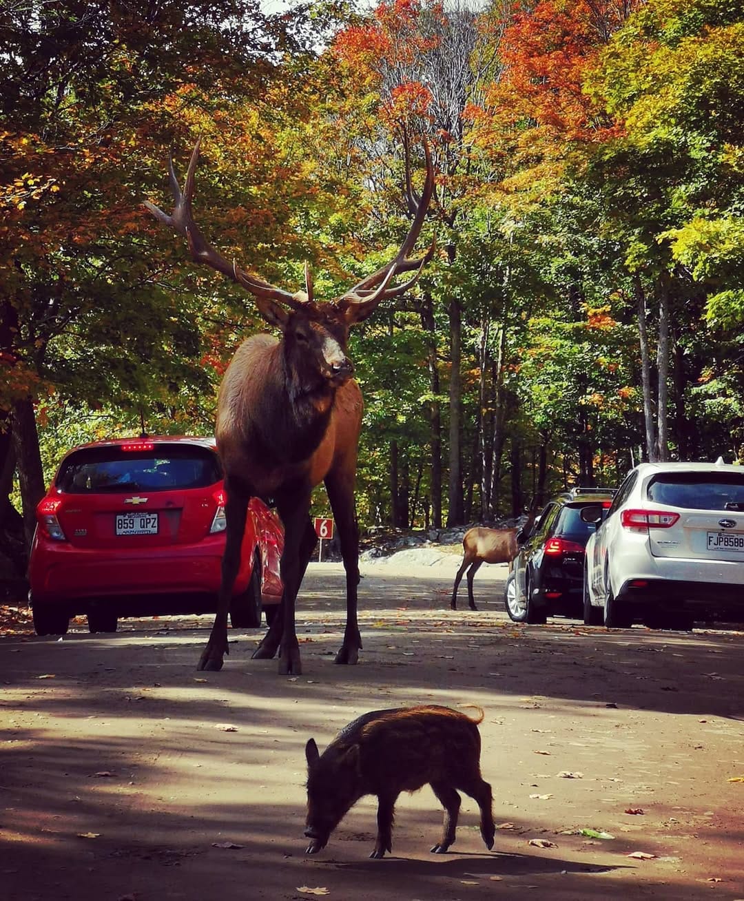 Post 7 by Trip With Us on Instagram (image)