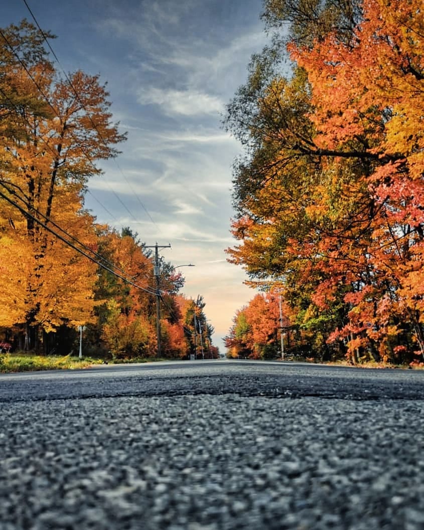 Post 5 by Trip With Us on Instagram (image)