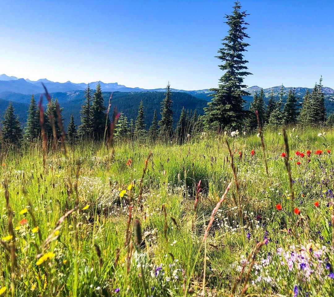 Post 9 by Off the Clock Adventurers on Instagram (image)