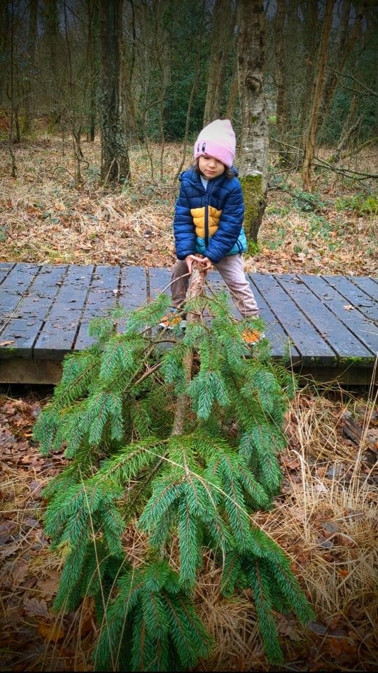 Post 7 by Charlotte Ng | Author Mud Kitchen Magic on Instagram (video)