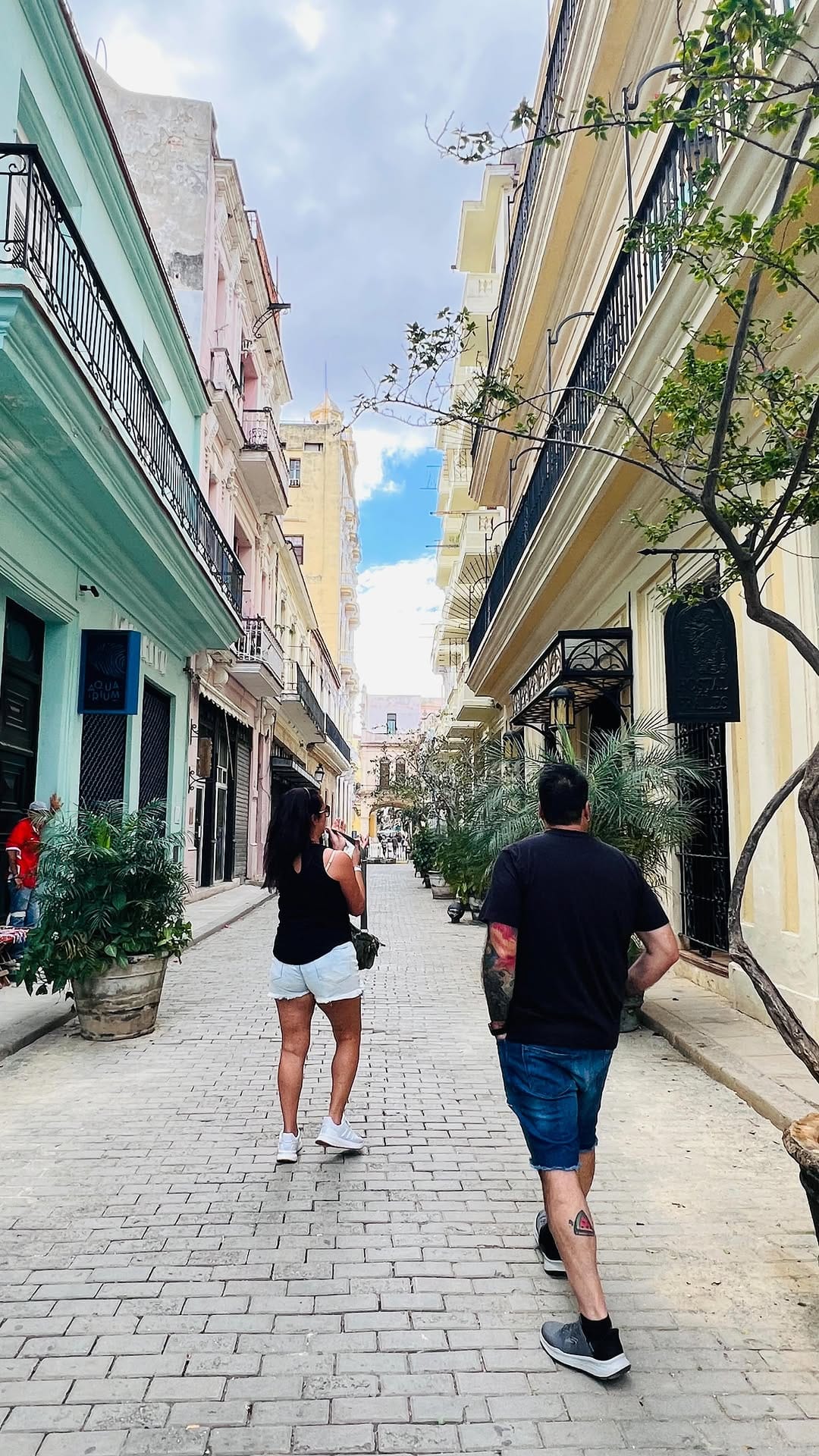 Post 4 by Teresa Mannella - Food & Travel on Instagram (video)