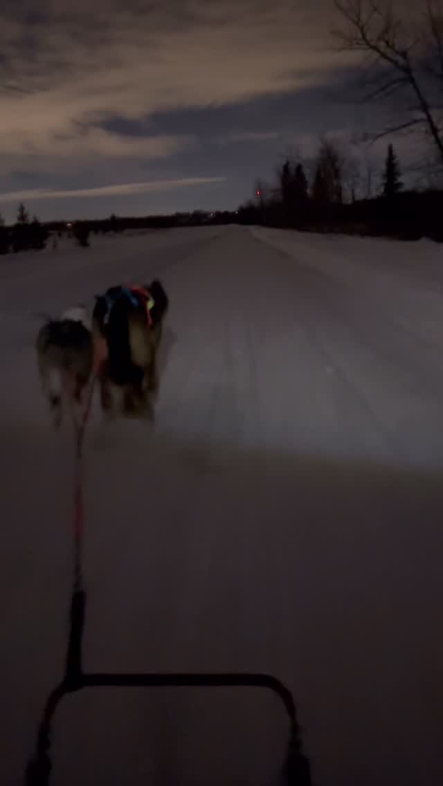 Post 1 by Huda + Pluto & Piper ᨒ on Instagram (video)
